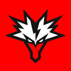 Team Yandex